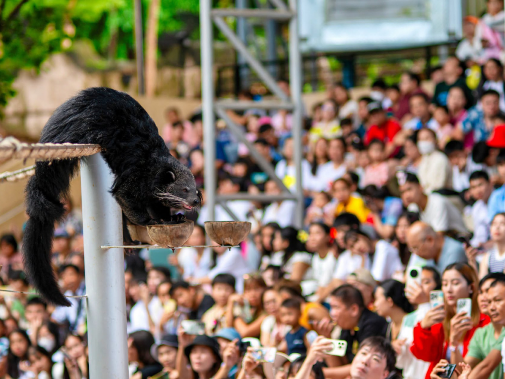 เชียงใหม่ไนท์ซาฟารี Chiang Mai Night Safari
