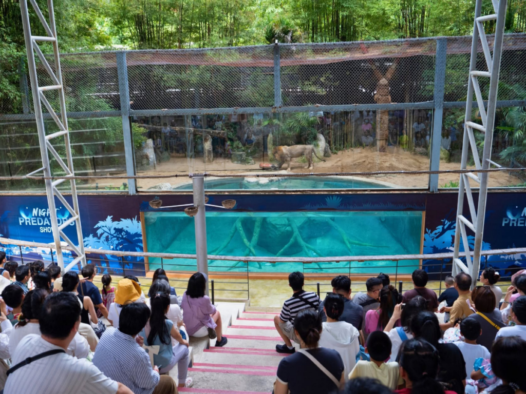เชียงใหม่ไนท์ซาฟารี Chiang Mai Night Safari
