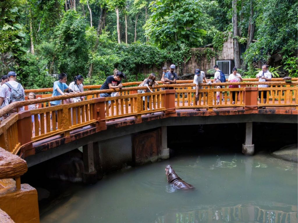 เชียงใหม่ไนท์ซาฟารี Chiang Mai Night Safari