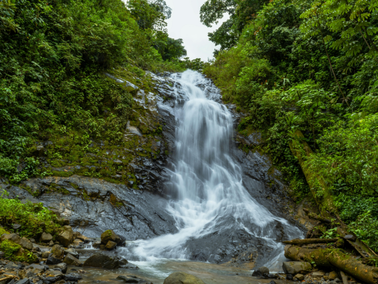 Tour 1 Day Sticky Waterfall+Dantewada+Ban Den Temple+Elephant Cafe (Minimum 2 pax)