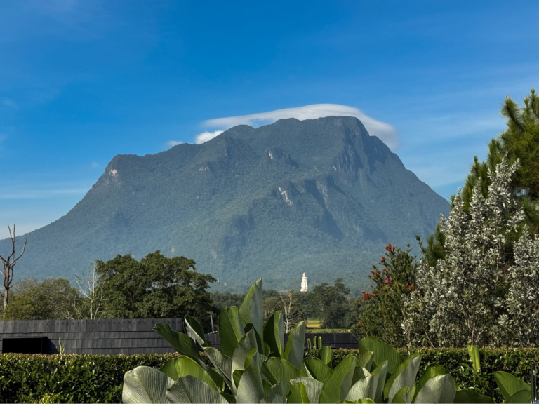 Tour 1 day Chiang Dao+5 Different Hilltribe (Minimum 2 paxs)
