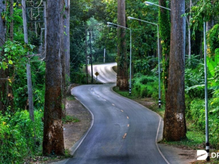 Tour 1 day Chiang Dao+5 Different Hilltribe (Minimum 2 paxs)