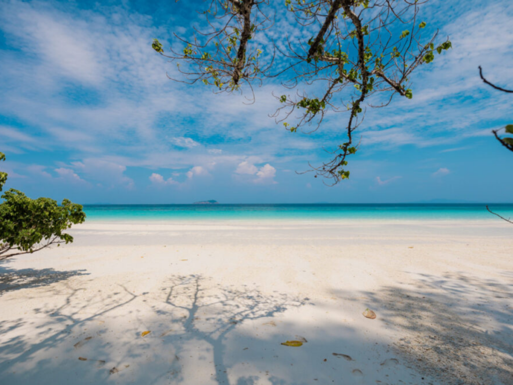 A : Se La Va Island เกาะเซลาวา – ทะเลเมียนมา (SpeedBoat)