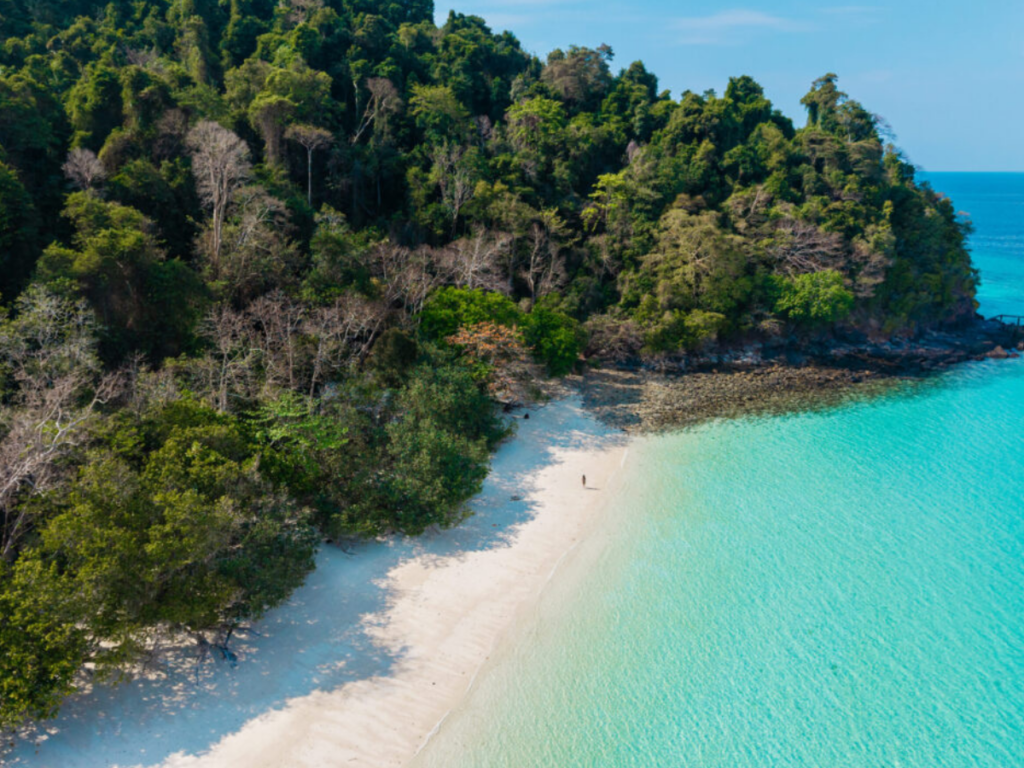 A : Se La Va Island เกาะเซลาวา – ทะเลเมียนมา (SpeedBoat)